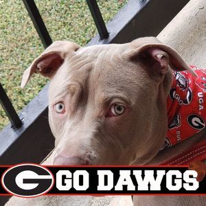 Meet your Posher, Ray